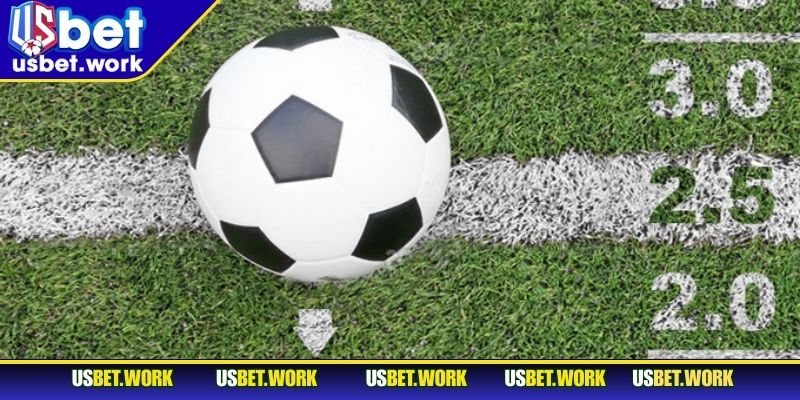Tài Xỉu 2.5 USBET - Thử Thách Bản Lĩnh, Rực Lửa Chiến Thắng Nhập môn đọc kèo bóng đá chỉ dẫn cho người mới